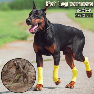  ybgpC bOEH[}[ 4Zbg  L ybg bOJo[ bOK[h  \bNX F  Vv ^ ^ ی h~ U o