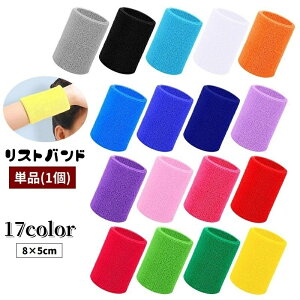  Xgoh Pi 1 Ўp jp fB[X Y T|[^[ pCn ^In ~ z ʋC Vv n PF X|[c ^ ejX oXPbg{[