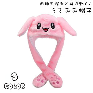  Xq ڂ ETM   fB[X  lp RXv  h g  ӂӂ  n т  t@bV