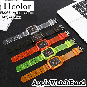  AppleWatchoh AbvEHb`p xg Xgbv tւ ͂ߍ݌^ ̌^ XPg  NA ی