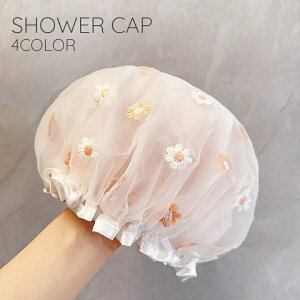  V[Lbv wALbv fB[X  wl oXpi h 2w bV ԕhJ t   C ێ