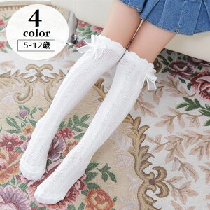  j[nC\bNX ƂȂ C LbY WjA qp ̎q  { Et   K[[ o| ʉ ʊw q ǂp