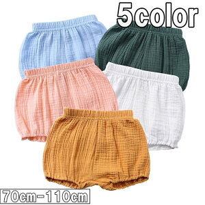  u}pc q I[o[pc ڂpc V[gpc xr[ LbY {gX n   Vv