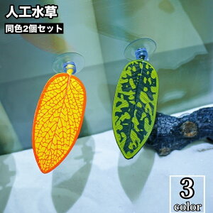  lH 2Zbg zՎ CAEg lHvc ANAEfR[V x^xbh xeꏊ B t [t pCeA IuWF pi