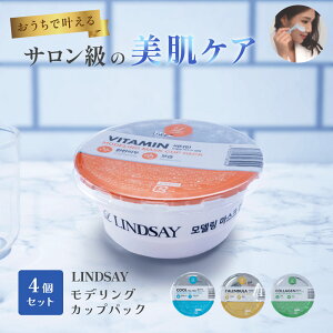  yLINDSAY/[Cz fO}XN JbvpbN 28g×4 pbN ؍RX ؍ϕi (r^~/R[Q/eB[c[/Jf)