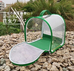 �������� ������ �y�b�g ���P�[�W �����P�[�W �����ώ@ �� ঒��� �܂肽���� �P�[�W ����P�[�X �o�^�t���C�P�[�W �������甠 �����̏W ���b�V�� ���� �ʋC�� �l�b�g �n���h���� �����^��