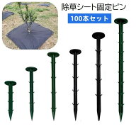 送料無料 除草シート固定ピン 100本セット 防草シート用 PP杭 プラスチック 固定用 抜けにくい 押さえピ…