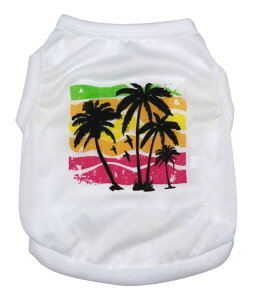  ̕ hbNEGA ybgEGA ybgObc U o ^ ^  킢   v[g vg