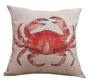  NbVJo[ NbVpJo[ 45×45cm Jo[̂ XNGA^ lp` ` J T ^[g Jj I NW ~   킢 ͗lւ C[W`FW C