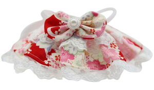  ybgp悾ꂩ X^C pi Lpi [X { ԕ hbOEFA pANZT[ ybgpi RŌ   U  Ck  L ˂ lR