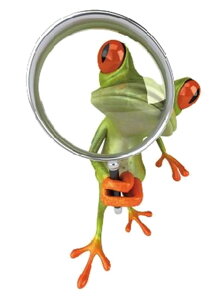  EH[XebJ[ ǎV[ [fR[V EH[fR[V DIY ǖʑ Ǒ   t \tȒP B LYB G  Ce