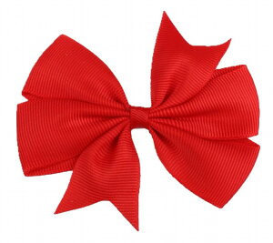  wANbv  wAANZT[ t@bV LbY xr[ Ԃ q ̎q { Vv 킢  JoLx