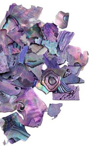  lCp[c VFt[N lCA[g lCpi NbVVF VFpE_[ Lk zO lCp fRlC lCObY fR[Vp[c LL