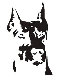  J[XebJ[ JbeBO V[ zCg XebJ[   O J[pi oCNpi  N[