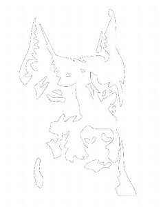  J[XebJ[ JbeBO V[ zCg XebJ[   O J[pi oCNpi  N[