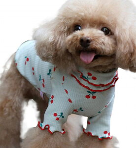  hbOEFA ybgEFA Jbg\[ ̕  m ybgpi ^  TN{ ݕt u Et U o  킢  L̕ ˂