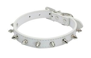   p ybgpi ^ ^ hbOObY xg^Cv X^bY 킢  N[ o| U 