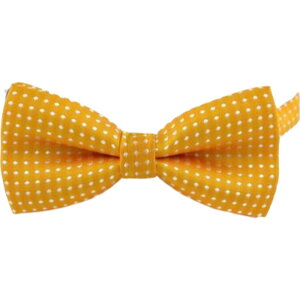  lN^C LbY q j̎q ̎q t@bV ߉\ hbg tH[}   w  p[eB[ Cxg \ o  JoLx