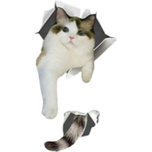  EH[XebJ[ ǎV[ EH[V[ gC Ƌ KX ^C   CeA DIY t 킢 L Aj}   gbNA[g A 