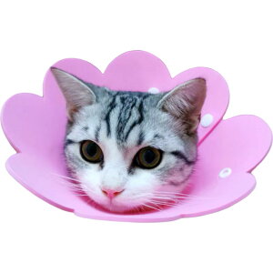  GUxXJ[ \tg Lp  ybgpi Xibv{^ rߖh~ ی p PApi ~h~ ȒP t[fUC ^ _炩 Ԍ^ \bhJ[ 