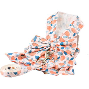  n[lX [h 2_Zbg ybgpi xXgn[lX p Lp ^ s[X hbO [V  UR R R ԕ `FbN { ԕ t[ nbV