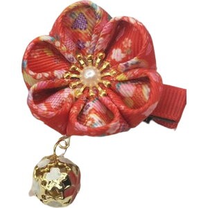  wANbv LbY fB[X wAANZT[   t[ a   a a  킢 wAAW bh sN u[ p[v   