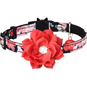  Lp J[ Z[teBobN {  a vg  t[ RT[W CXg[ LL L CAT ybgpi LObY  킢 ߂ o