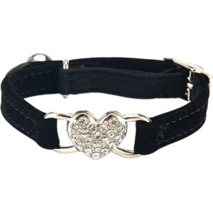   ybgpi Lp p ^ n[g CXg[ t xg ^obN t LL tFCNU[ U[ `[J[  킢 U o