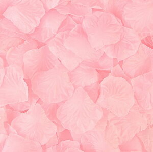  t[V[ Ԃт 1000Zbg    o A[gt[ t[y^ fR[V Ԑ  EGfBO p[eB Cxg TvCY DIY J