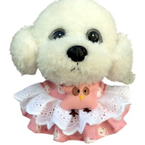  ybgpX^C 悾ꂩ XJ[t o_i  L ^ ^ [X t  ANZT[  hbOEFA  ru `[J[ ^b`obN TCY