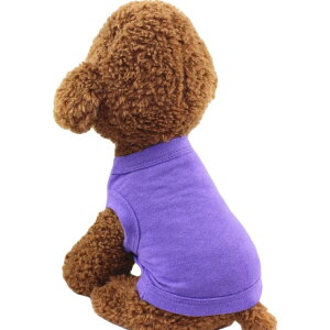  ybgp^Ngbv ybgpJbg\[ ^ ^ Ck lR L gbvX m[X[u Ȃ  vI[o[ n sN ubN u[ 킢 L[g Vv