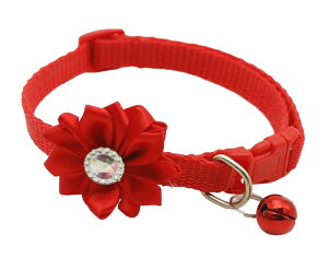    L ^ J[ `[J[ RT[Wt ybgJ[  t[`[t  ybgObY hbO Lbg PF rrbhJ[   pi Lpi