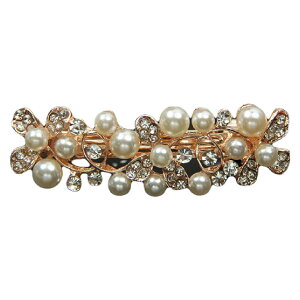  ob^ wAANZT[ fB[X  p[ ꂢ LL w Ǝ  a   t[   Ǝ l U a S