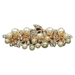  ob^ wAANZT[ fB[X  p[ ꂢ LL w Ǝ  a   t[   Ǝ l U a S