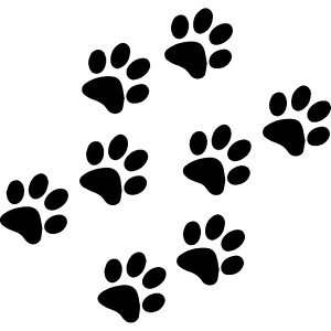 �������� �J�[�X�e�b�J�[ �ԗp�X�e�b�J�[ �L�Y�B�� ���݉B�� �� �o�C�N ���]�� �{�f�B�X�e�b�J�[ �V�[�� ���� ���� �� �L �f�R���[�V���� �J�[�p�i