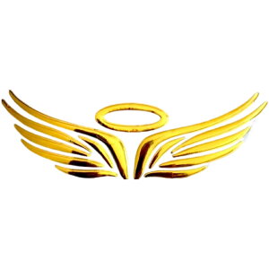  J[XebJ[ ԗpXebJ[ 3DXebJ[ Gu ̓I Vg̉H  oCNhXAbv  J[pi ԗpi