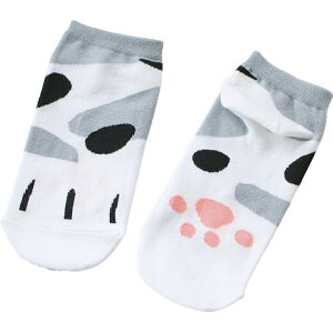  C V[g\bNX fB[X   Ԃ Xj[J[ L lR   JWA 킢  ig fC[ wlp