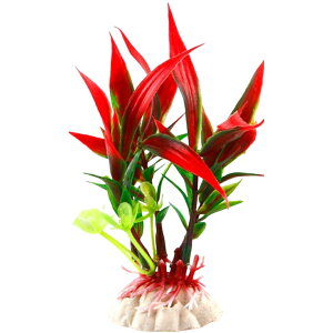  lH lHvc pCAEg yt  ANAEfR[V CeA ANZT[ IuWF I[ig pi CAEgpi ObY