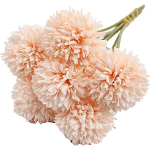   3{Zbg tFCNt[ ^|| p lHϗtA CeA A[gt[ t[AWg pXeJ[