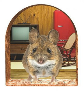  EH[XebJ[ Ǒ XebJ[ CeA V[ \邾 lY~ }EX Ki  q ͗lւ 킢 