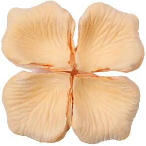  t[V[ Ԃт 100Zbg    o A[gt[ t[y^ fR[V Ԑ  EGfBO p[eB Cxg TvCY DIY J