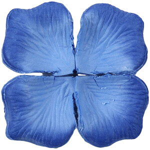  t[V[ Ԃт 100Zbg    o A[gt[ t[y^ fR[V Ԑ  EGfBO p[eB Cxg TvCY DIY J