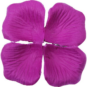  t[V[ Ԃт 100Zbg    o A[gt[ t[y^ fR[V Ԑ  EGfBO p[eB Cxg TvCY DIY J