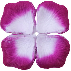  t[V[ Ԃт 100Zbg    o A[gt[ t[y^ fR[V Ԑ  EGfBO p[eB Cxg TvCY DIY J