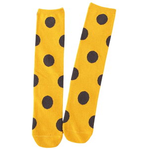  nC\bNX C LbY q WjA ̎q K[ \bNX   hbg  킢  Vv JWA