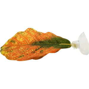  lH CAEg lHvc ANAEfR[V zՎ x^xbh xeꏊ B t [t pCeA IuWF pi