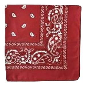  o_i nJ` yCY[ ԕ ԃTCY 55×55cm jp fB[X Y l q t@bV  Op ` JoLx