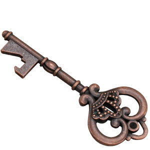  𔲂 {gI[vi[ fUC fBXvCL[ L[z_[ `[ AeB[N CeAG  lbNX Xgbv ֗