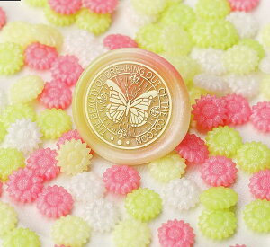  V[ObNX X V[OX^vpi 100Zbg   t[ Ђ܂ Jt  ҏ 莆