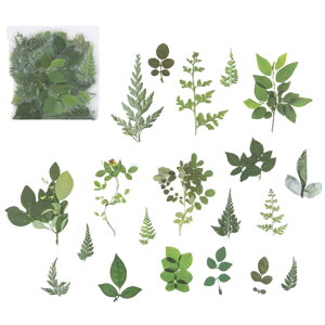  t[NV[ V[ PET NA  40 [ V[ XebJ[ R[W A [t t[   i` { fR[V 蒠 fR X}zP[XfR n